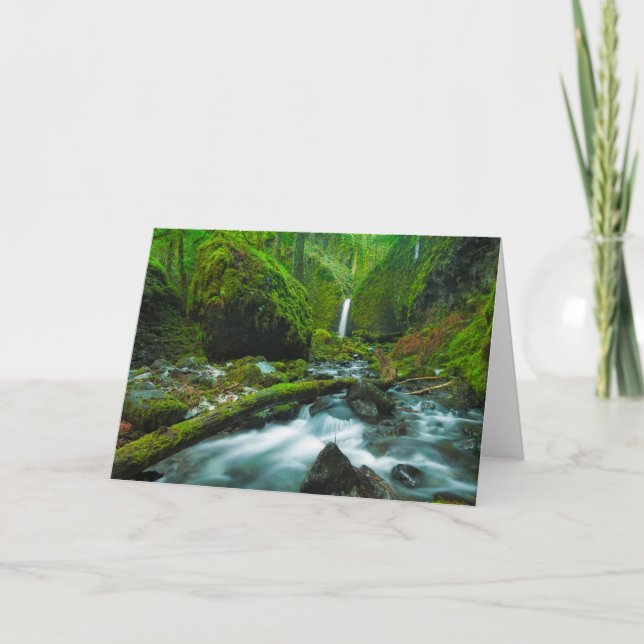 Tarjeta Waterfalls | Grotto Falls, Oregon (Anverso)