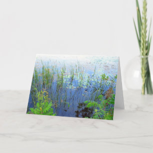 Tarjeta Waterlilies, Sharon CT