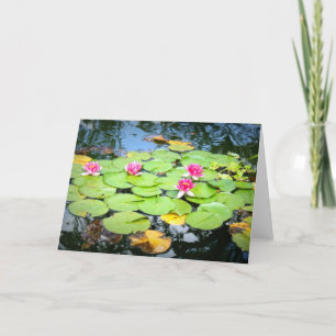 Tarjeta Waterlily