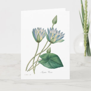 Tarjeta Waterlily azul