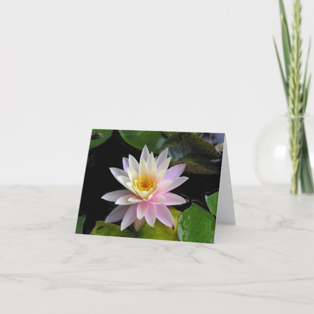 Tarjeta Waterlily Notecard (Anverso)