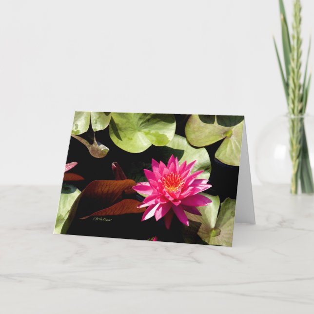 Tarjeta Waterlily Rosa I (Anverso)