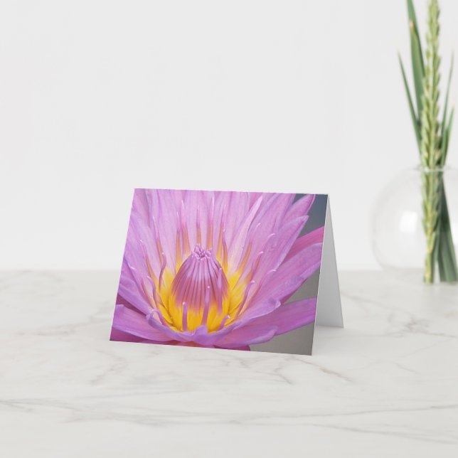 Tarjeta Waterlily rosado Notecard (Anverso)