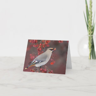 Tarjeta Waxwing bohemio Notecards