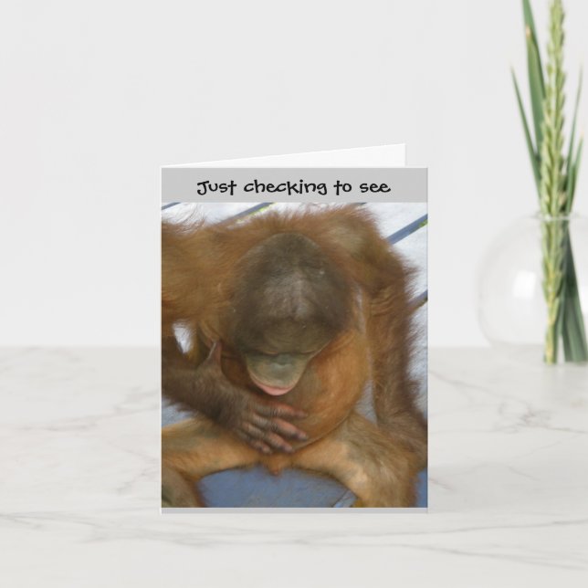 Tarjeta Wazzup Graciosa bienvenida a los amigos (Anverso)