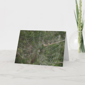 Tarjeta Web de curación