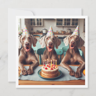 Tarjeta Weimaraner, cumpleaños de Weimaraner