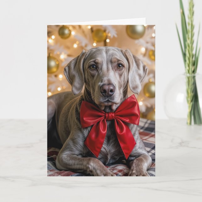 Tarjeta Weimaraner de Navidad con lazo rojo (Anverso)