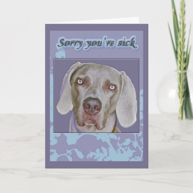 Tarjeta Weimaraner Get Well Card (Anverso)