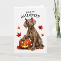 Weimaraner Halloween Perro Diablo