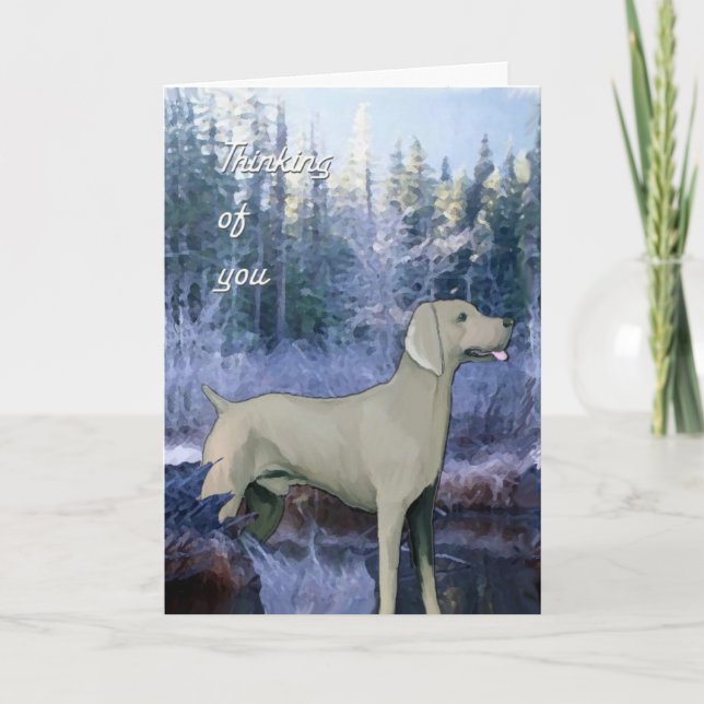 tarjeta weimaraner_sympathy_card (Anverso)