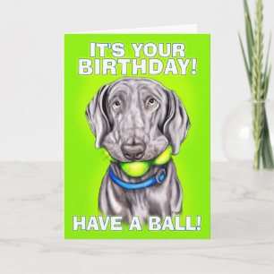 Tarjeta Weimaraner tiene pelota