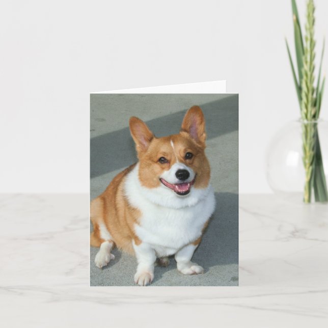 Tarjeta Welsh Corgi notecard (Anverso)