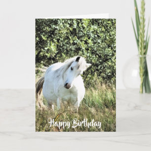 TARJETA WELSH PONY