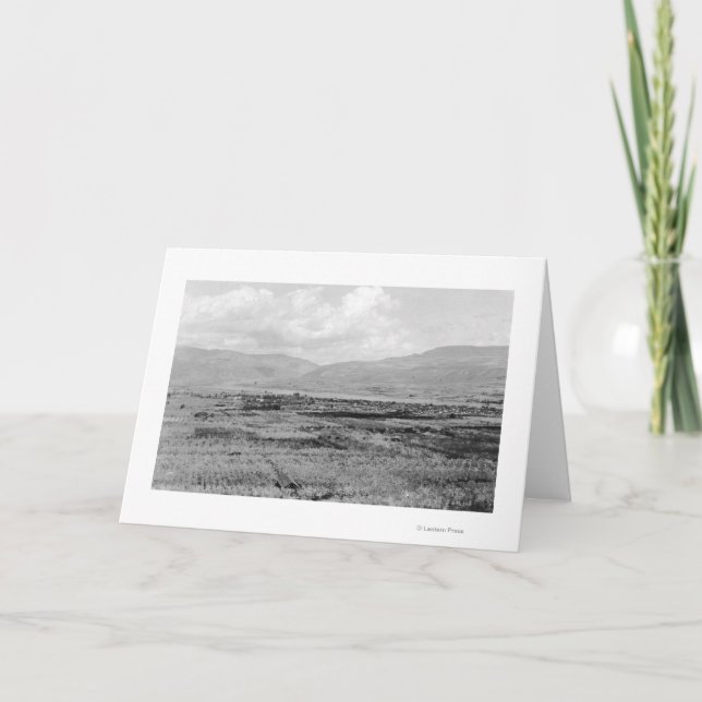 Tarjeta Wenatchee, opinión de la ciudad de WA y fotografía (Anverso)