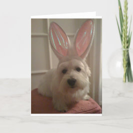 Tarjeta Westhighland Bunny