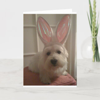 Tarjeta Westhighland Bunny