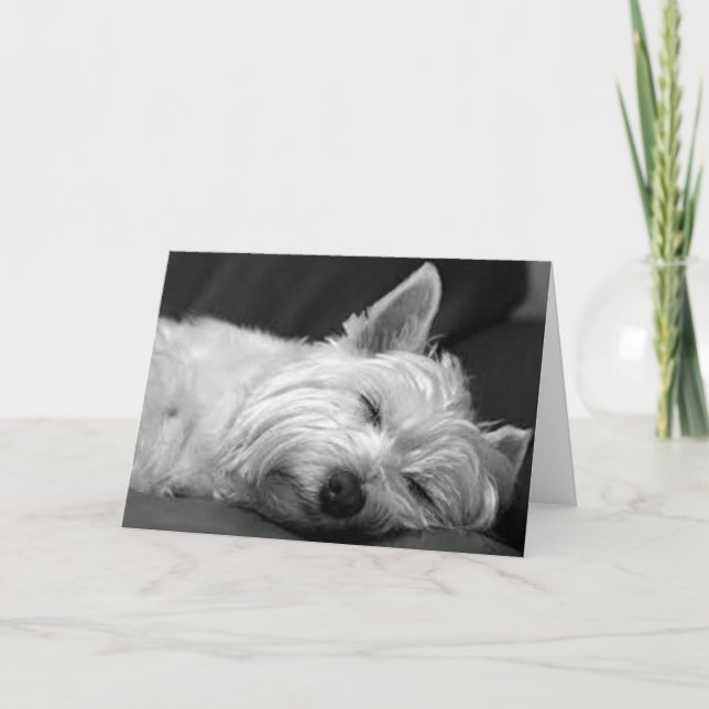Tarjeta Westie Asleep (Anverso)