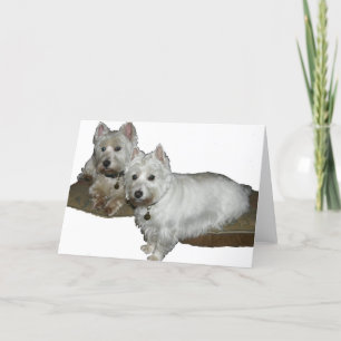 Tarjeta Westie Desi y Lucy