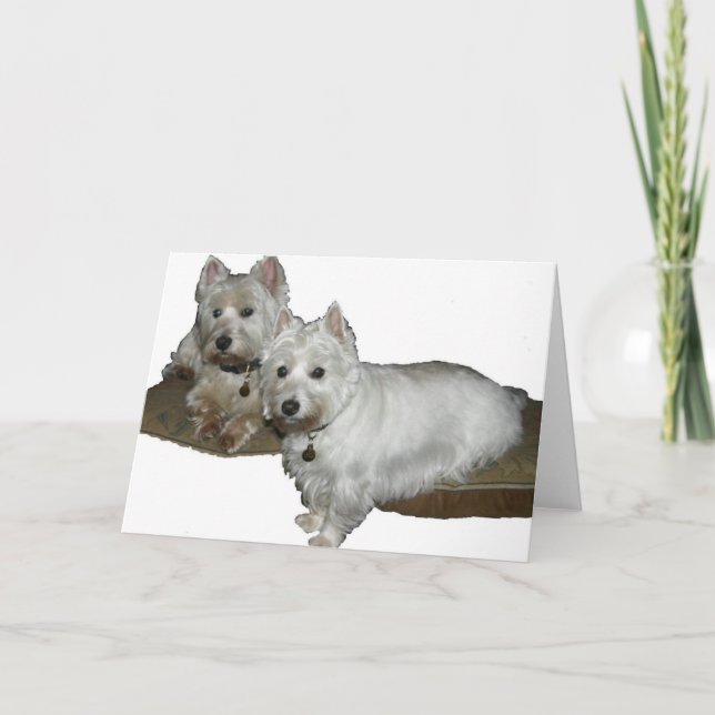 Tarjeta Westie Desi y Lucy (Anverso)
