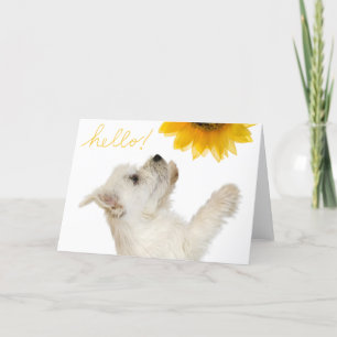 Tarjeta Westie Hello Blank Notecard
