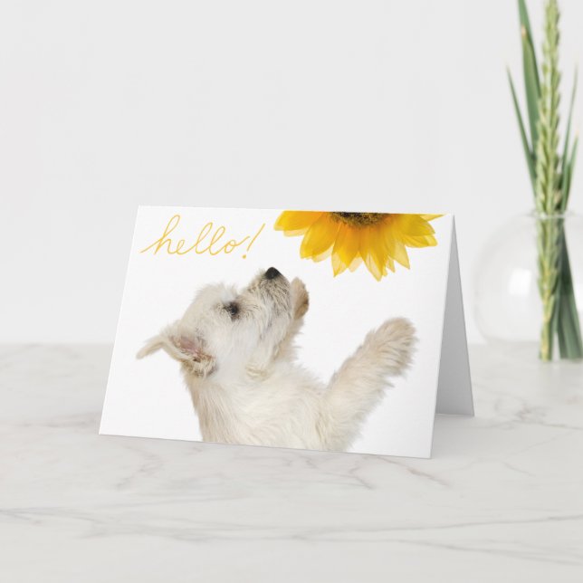 Tarjeta Westie Hello Blank Notecard (Anverso)