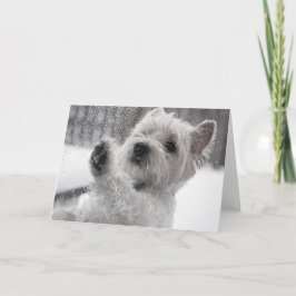 Tarjeta Westie in the Rain