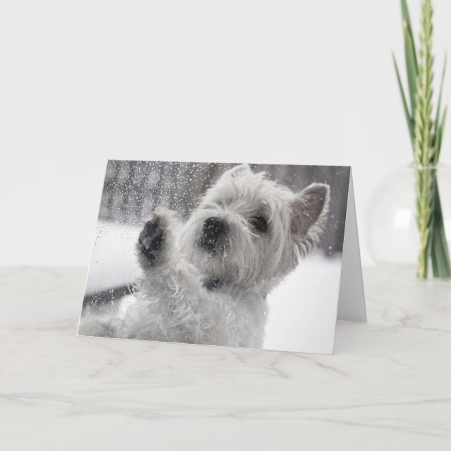 Tarjeta Westie in the Rain (Anverso)