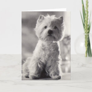 Tarjeta Westie negro y blanco
