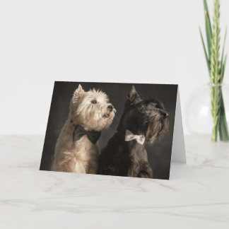 Tarjeta Westie y Scottie