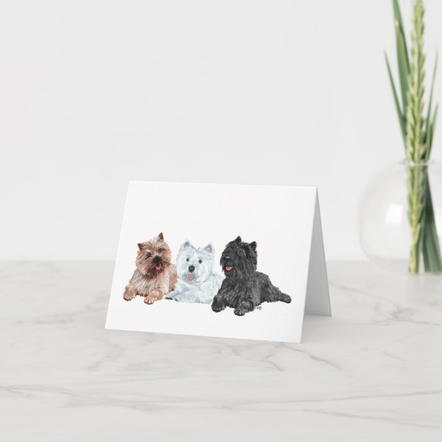 Tarjeta Westie y Terriers Cairn (Anverso)
