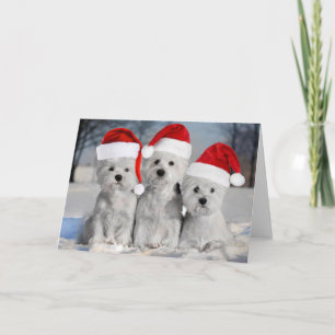 Tarjeta Westis in the Snow Holiday Card