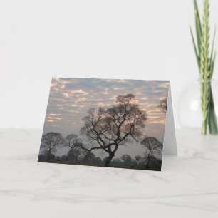 Tarjeta Wetlands Pantanal   Sudamérica, Brasil