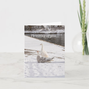 Tarjeta Whats Up Goose