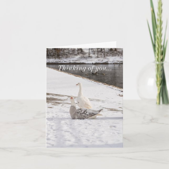 Tarjeta Whats Up Goose (Anverso)