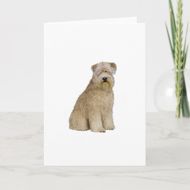 Tarjeta Wheaten Terrier (B) (asiento) (Anverso)
