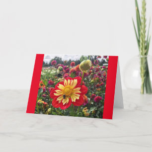 Tarjeta Wheels Dahlia