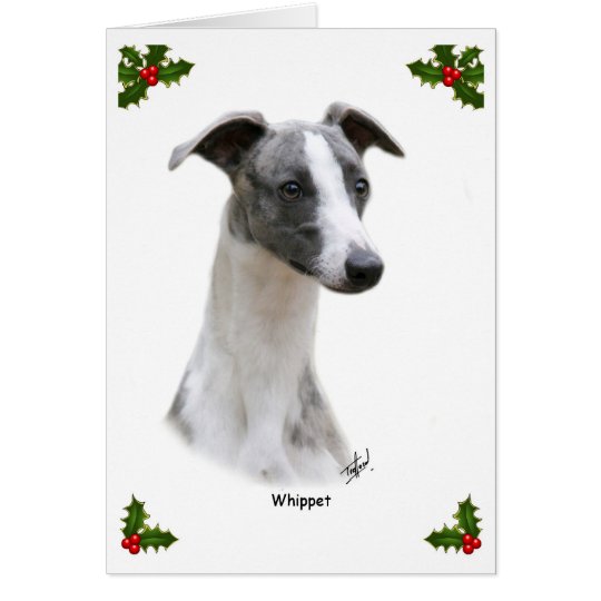 Tarjeta Whippet 9Y205D-231