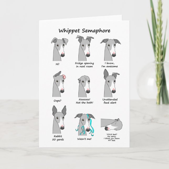 Tarjeta Whippet Semaphore (Anverso)