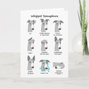 Tarjeta Whippet Semaphore
