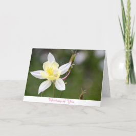 Tarjeta White Columbine Thinking of You Card