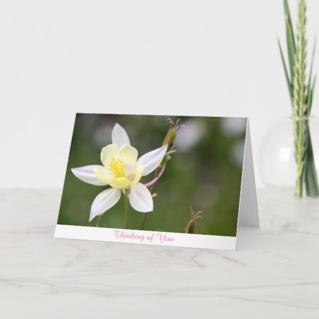 Tarjeta White Columbine Thinking of You Card (Anverso)
