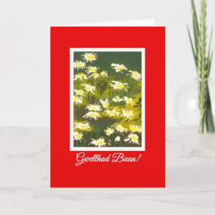 Tarjeta White Daisises on Red Get Well Card: Saludo galés