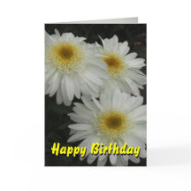White Gerber Daisy Feliz cumpleaños