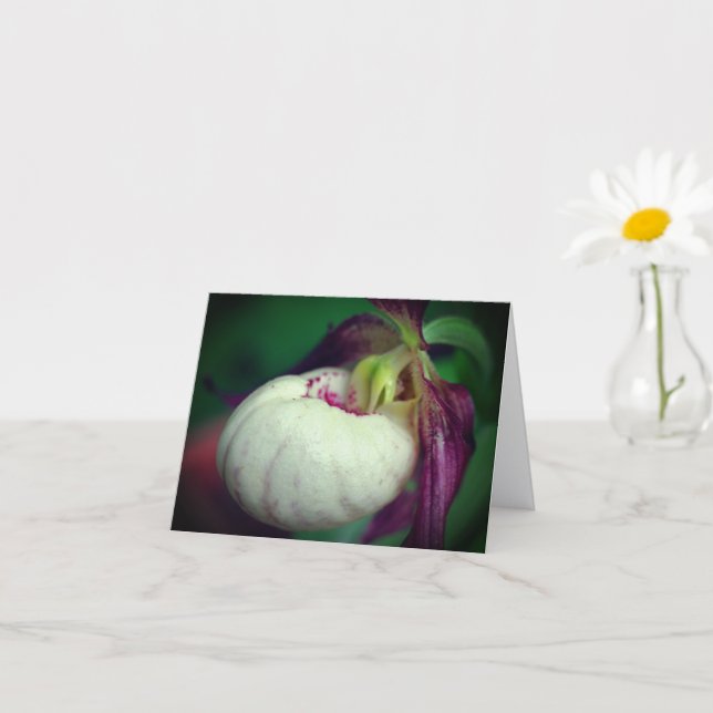 Tarjeta White Lady Slipper Orchid Flower Photography Note (Planta pequeña)