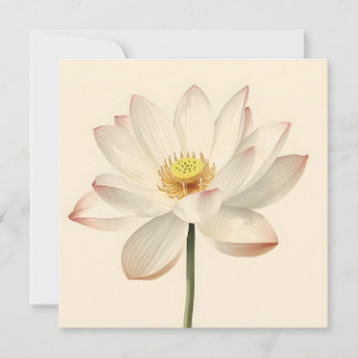 Tarjeta White Lotus Flower