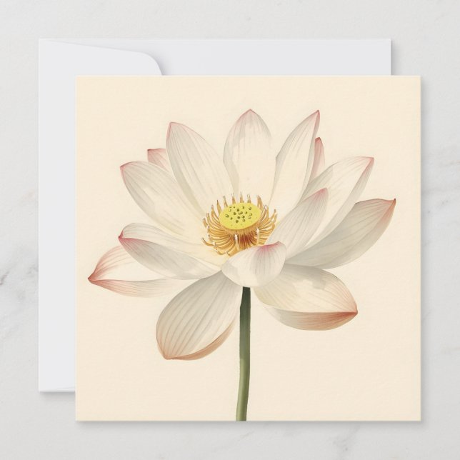 Tarjeta White Lotus Flower (Anverso)