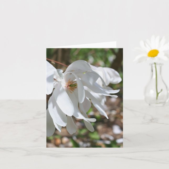 Tarjeta White Magnolia Flower Personalized Note (Planta pequeña)