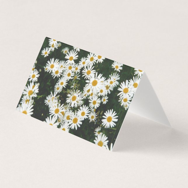 Tarjeta White Oxeye Daisy, Moon Daisy Meadow (Anverso)