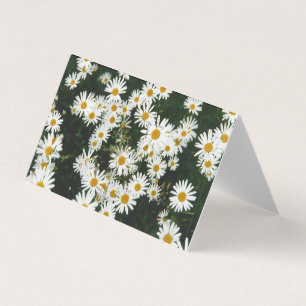 Tarjeta White Oxeye Daisy, Moon Daisy Meadow